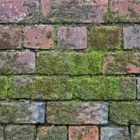 Business 4 image DAMP SOLUTIONS ON SITE Wood Treatment & Preservation in London Gr