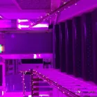 Business 8 image DANIEL LAY EVENT SERVICES Wedding Supplies in Orpington Ke