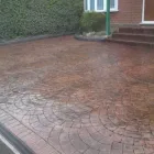 Business 1 image DARCY'S SEAFOOD Fish & Seafood Restaurants in Brighton Ea