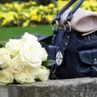 Business 9 image DAVID DODGE PHOTOGRAPHY Wedding Services in London Gr