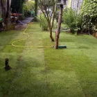 Business 27 image DEE ZEE GARDEN SERVICES Garden Services in Northampton No