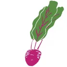 Business 4 image DEMENTIA CARE MATTERS LTD Training Services in Brighton Ea