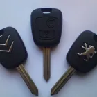 Business 11 image DESIGN WILD SOLUTIONS LTD Computer Consultancy in Northampton No