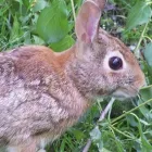 Business 5 image DEVONSHIRE HEALTH & RACQUET CLUB (PLYMOUTH) LTD Health Clubs in Plymouth De