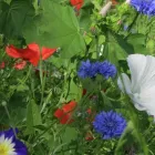 Business 1 image DEVONSHIRE HEALTH & RACQUET CLUB (PLYMOUTH) LTD Health Clubs in Plymouth De