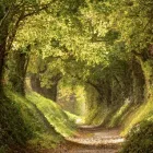 Business 1 image DK ENVIRONMENTAL Pest & Vermin Control Services in Southall Mi