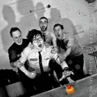 Business 11 image DM CARPET SPECIALISTS Carpet Fitters in Tyne And Wear Ty