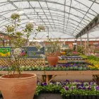 Business 3 image DOBBIES GARDEN CENTRE GOSFORTH Plant Nurseries & Garden Centres in Gosforth Ty