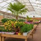Business 5 image DOBBIES GARDEN CENTRE NORTHAMPTON Plant Nurseries & Garden Centres in Wootton Ox