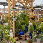 Business 5 image DOBBIES GARDEN CENTRE RUGBY Plant Nurseries & Garden Centres in Frankton Wa