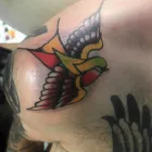 Business 5 image DOC PRICE & SON TATTOOS Tattoo Artists in Plymouth De