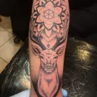 Business 16 image DOC PRICE & SON TATTOOS Tattoo Artists in Plymouth De