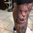 Business 20 image DOC PRICE & SON TATTOOS Tattoo Artists in Plymouth De