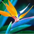 Business 1 image DR AYANNA KNIGHT - COSMETIC SKIN CARE, HEALTH & WELLBEING Skin Care Clinics in Brighton Ea