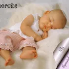 Business 7 image DREAM TEAM LIMOS Limousine Hire in Northampton No