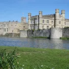 Business 5 image DRIVER GUIDE TOURS Tours & Sightseeing in London Gr