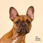 Business 3 image DUO PHOTO LTD Schools in Team Valley Trading Estate Ty