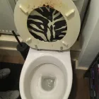 Business 31 image DUST AWAY CLEANING Window Cleaners in Northampton No