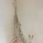 Business 39 image DUST AWAY CLEANING Window Cleaners in Northampton No