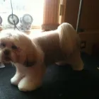 Business 8 image E-ESTATE Estate Agents in Croydon Su