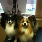 Business 2 image E-ESTATE Estate Agents in Croydon Su