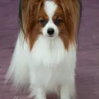 Business 3 image E-ESTATE Estate Agents in Croydon Su