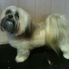 Business 1 image E-ESTATE Estate Agents in Croydon Su