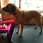 Business 4 image E-ESTATE Estate Agents in Croydon Su