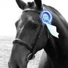 Business 18 image EAST SHEEN CARS Taxis & Private Hire Vehicles in London Gr