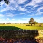 Business 3 image ELAND GREEN FARM Travel & Tourism in Ponteland Ty