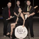 Business 3 image ENTERTAINMENTS UNLIMITED Wedding Supplies in Belfast Co