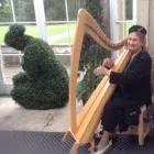 Business 6 image ENTERTAINMENTS UNLIMITED Wedding Supplies in Belfast Co