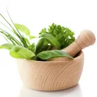 Business 4 image EQUILIBRIUM HEALTH CENTRE Tai Chi in Lewes Ea