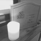 Business 2 image EVERGREEN MEMORIES Pets & Animals in Washington Ty