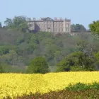 Business 8 image EXETER STREET GARAGE LTD Mot Testing in Plymouth De