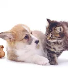 Business 10 image F.H JACKA Retail Bakers in Plymouth De