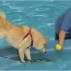 Business 1 image F.H JACKA Retail Bakers in Plymouth De