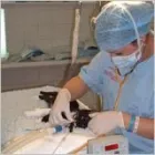 Business 4 image F.H JACKA Retail Bakers in Plymouth De