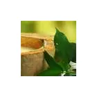 Business 1 image FIX MY PC ILKESTON Computer Services in Ilkeston De