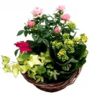 Business 18 image FLEURTATIONS Florists in Nottingham No