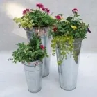 Business 20 image FLEURTATIONS Florists in Nottingham No