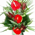 Business 22 image FLEURTATIONS Florists in Nottingham No