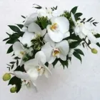 Business 2 image FLEURTATIONS Florists in Nottingham No