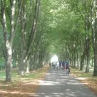 Business 7 image FLEXITREKS LTD Travel Agents in Hove Ea