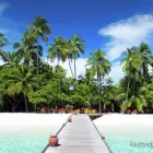 Business 1 image FLIGHT CENTRE Travel Agents & Services in Hove Ea