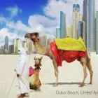 Business 4 image FLIGHT CENTRE Travel Agents & Services in Hove Ea