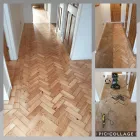 Business 1 image FLOOR SANDING PARTNERS LTD Wood Products in Hove Ea
