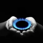 Business 1 image FLORAL SCENTS Florists in Harrow Mi