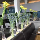 Business 2 image FLOWERS & PLANTS CO. Wedding Services in London Gr