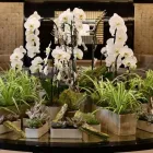 Business 5 image FLOWERS & PLANTS CO. Wedding Services in London Gr